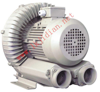 HB-919